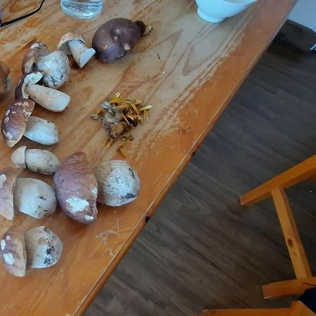 Appartement Vercors 4 Personnes 奥特朗 外观 照片