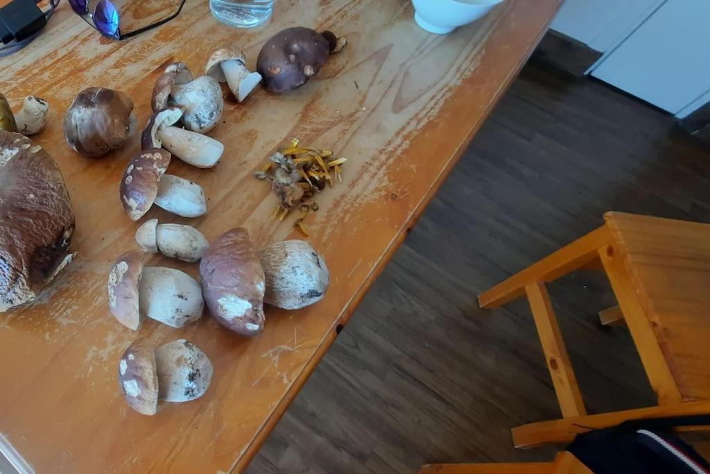 Appartement Vercors 4 Personnes 奥特朗 外观 照片